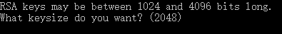 RSA keys 的大小